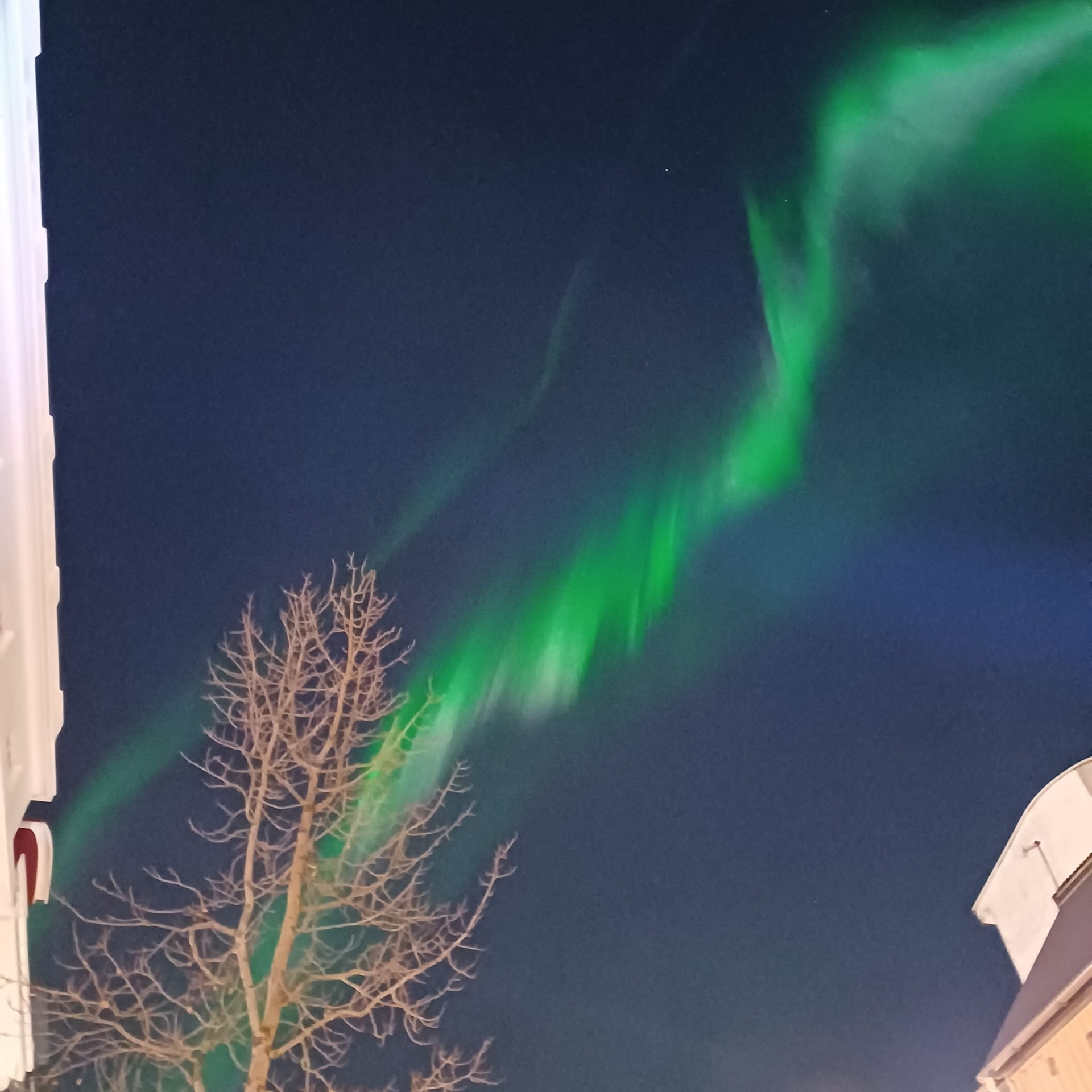 Jotkut onnekkaat näkivät revontulia